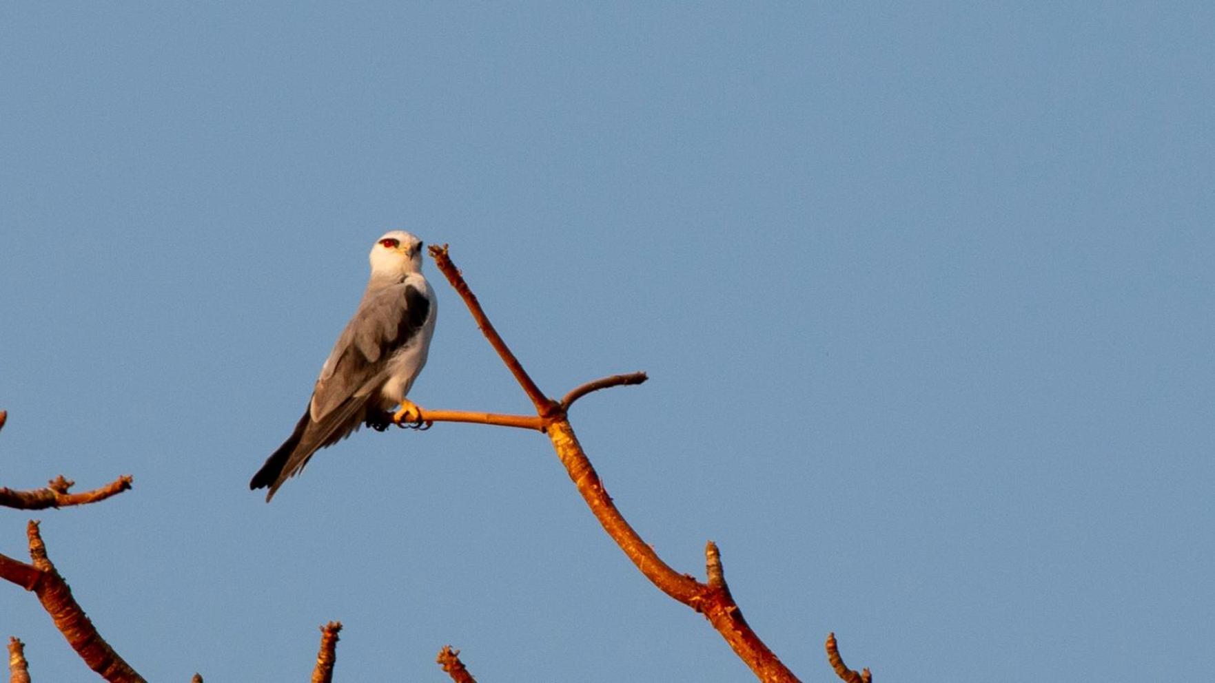 Dera Baghdarrah Nature Retreat Udaipur Dış mekan fotoğraf