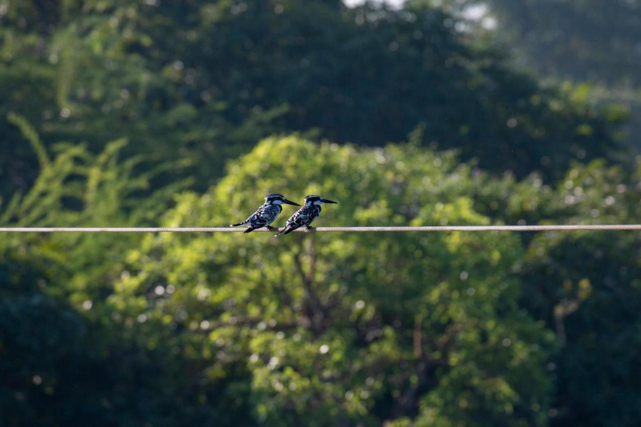 Dera Baghdarrah Nature Retreat Udaipur Dış mekan fotoğraf