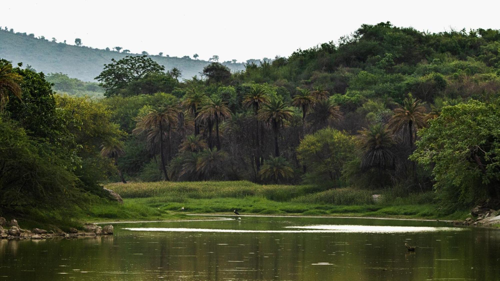 Dera Baghdarrah Nature Retreat Udaipur Dış mekan fotoğraf